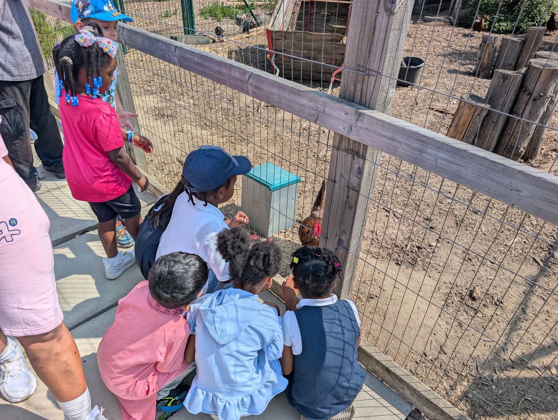 Children at the farm